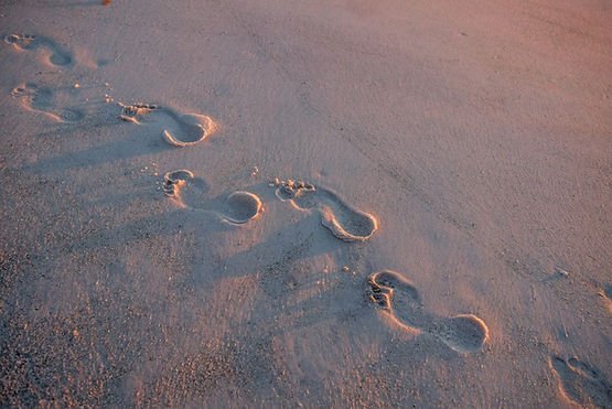 Your-Business-Footprint