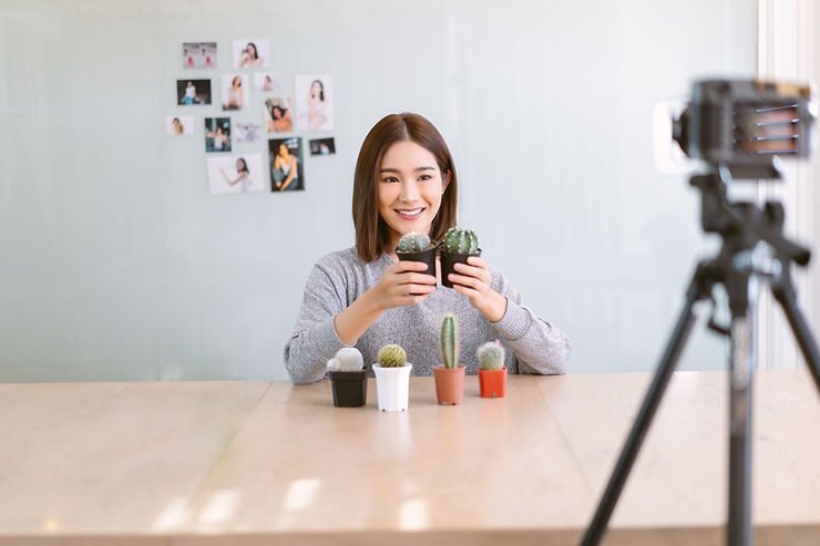 influencer-partnership-marketing